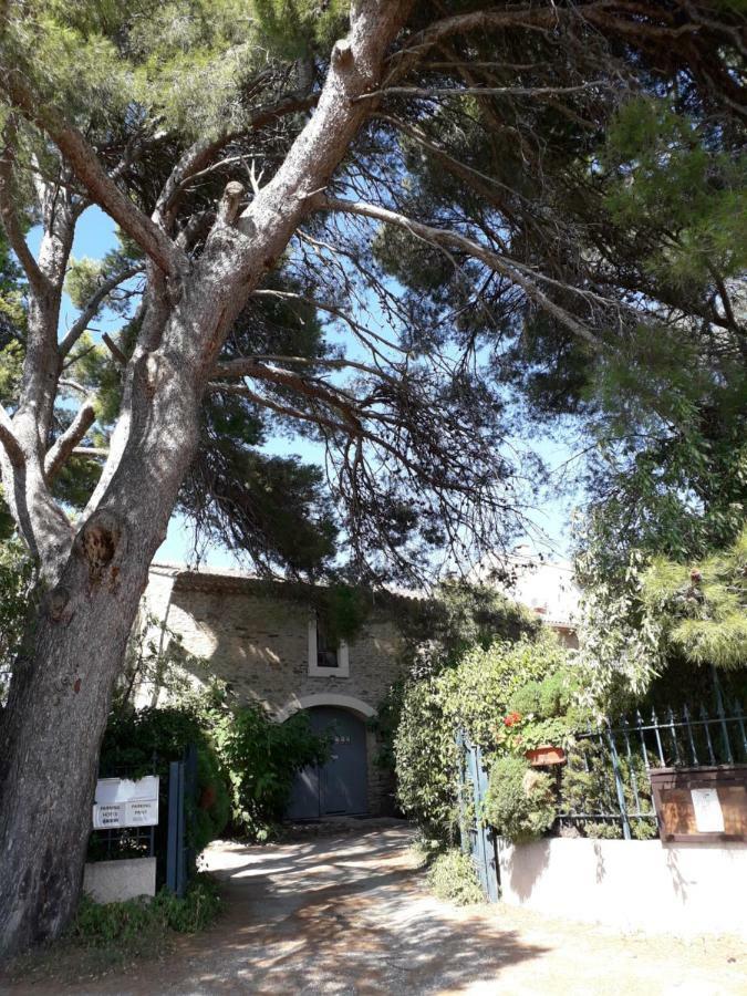 Vila Domaine De La Pinsonniere La Liviniere Exteriér fotografie